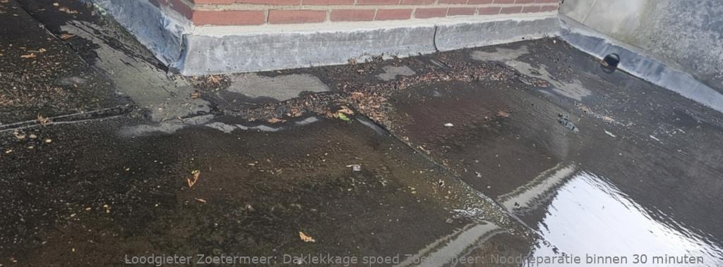 Daklekkage Spoed Zoetermeer