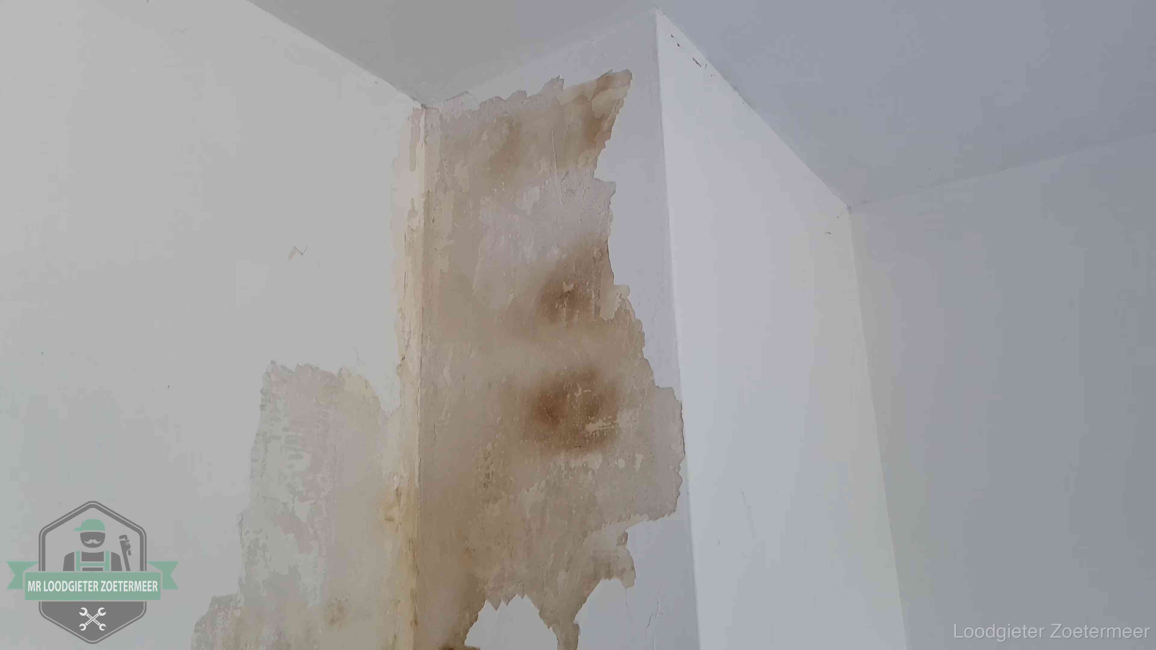 Bruine vochtkringen en afbladderend stucwerk op een binnenmuur in Zoetermeer, een eerste teken van daklekkage
