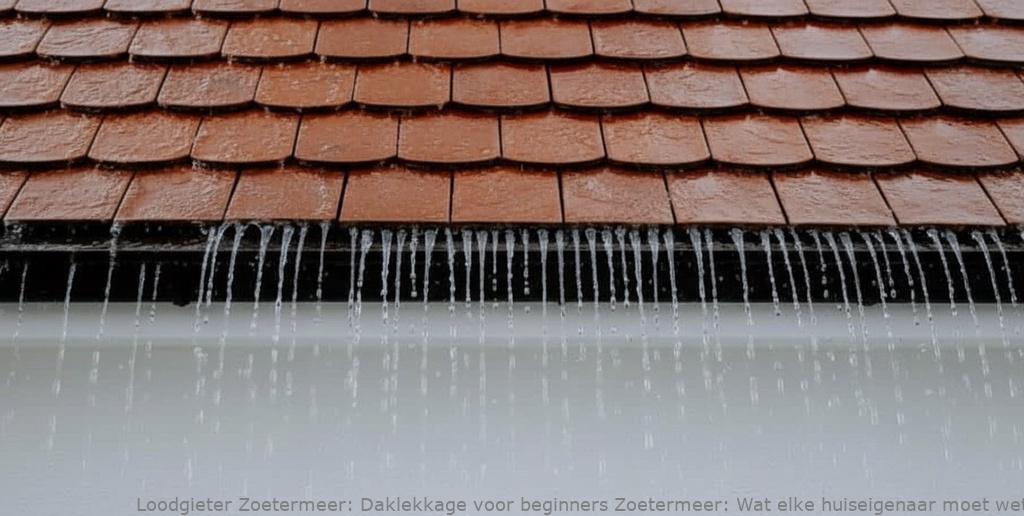 Daklekkage Voor Beginners Zoetermeer