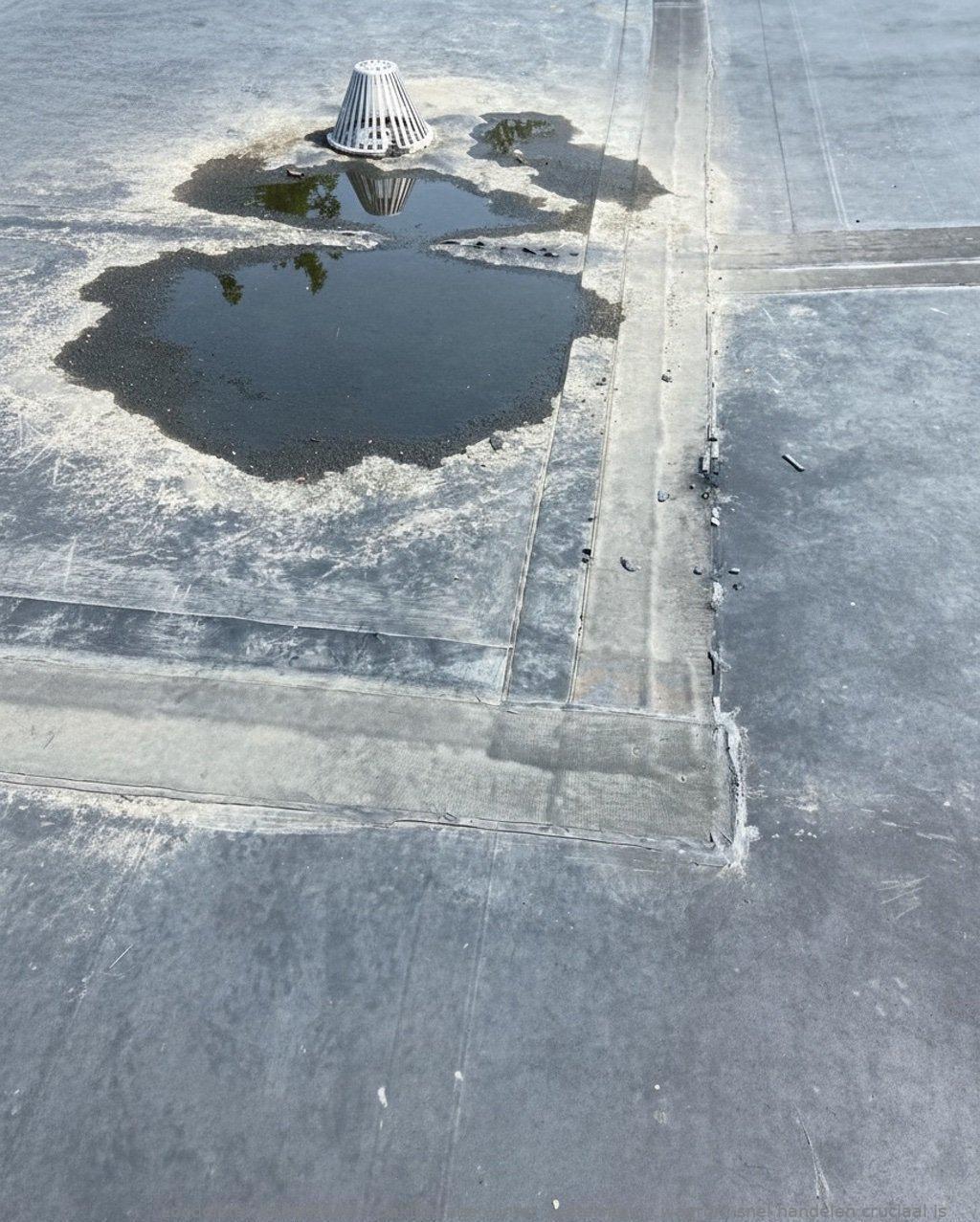 Daklekkage Winter Zoetermeer
