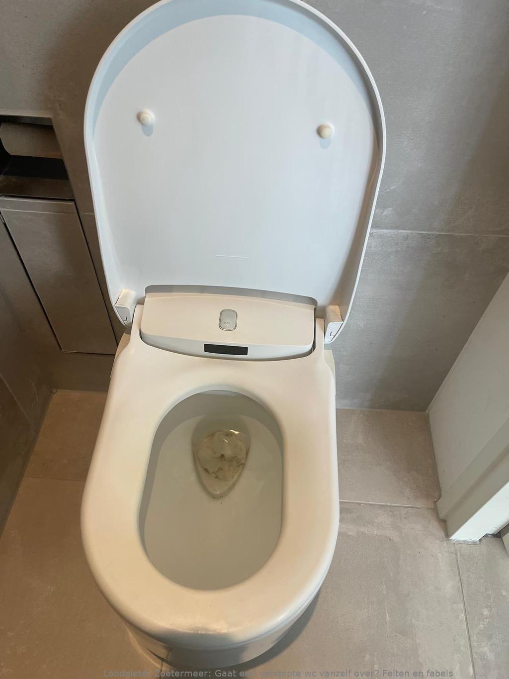 Herken Verstopte Wc Zoetermeer