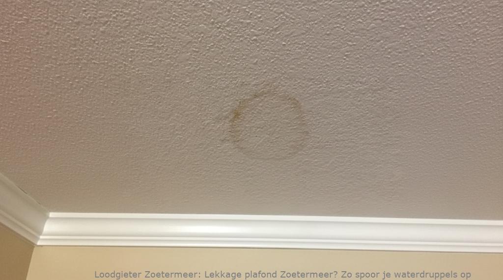 Lekkage Plafond Zoetermeer