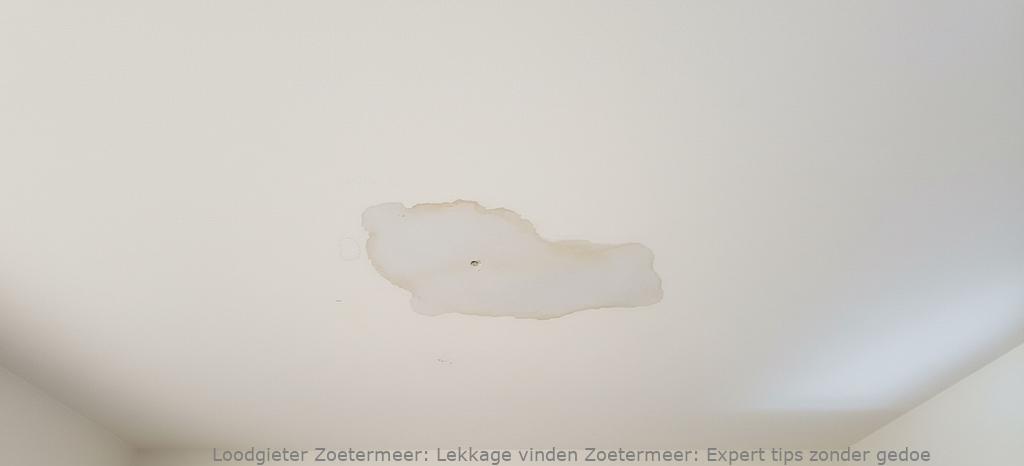 Lekkage Vinden Zoetermeer