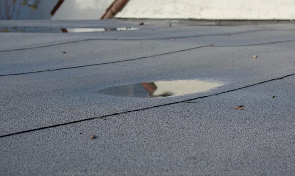 Loodgieter Daklekkage Zoetermeer