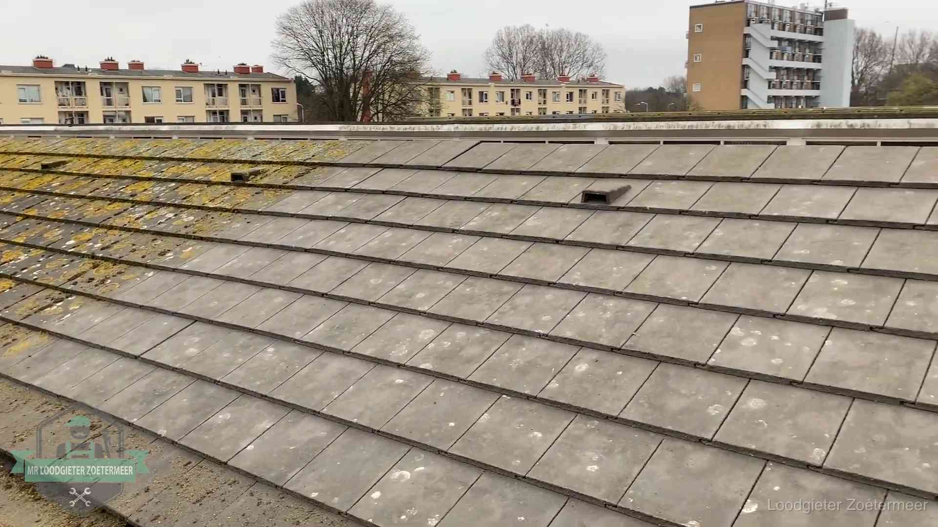 Schuin dak met betonpannen vol mos in Zoetermeer, een risico op lekkage bij de pannen