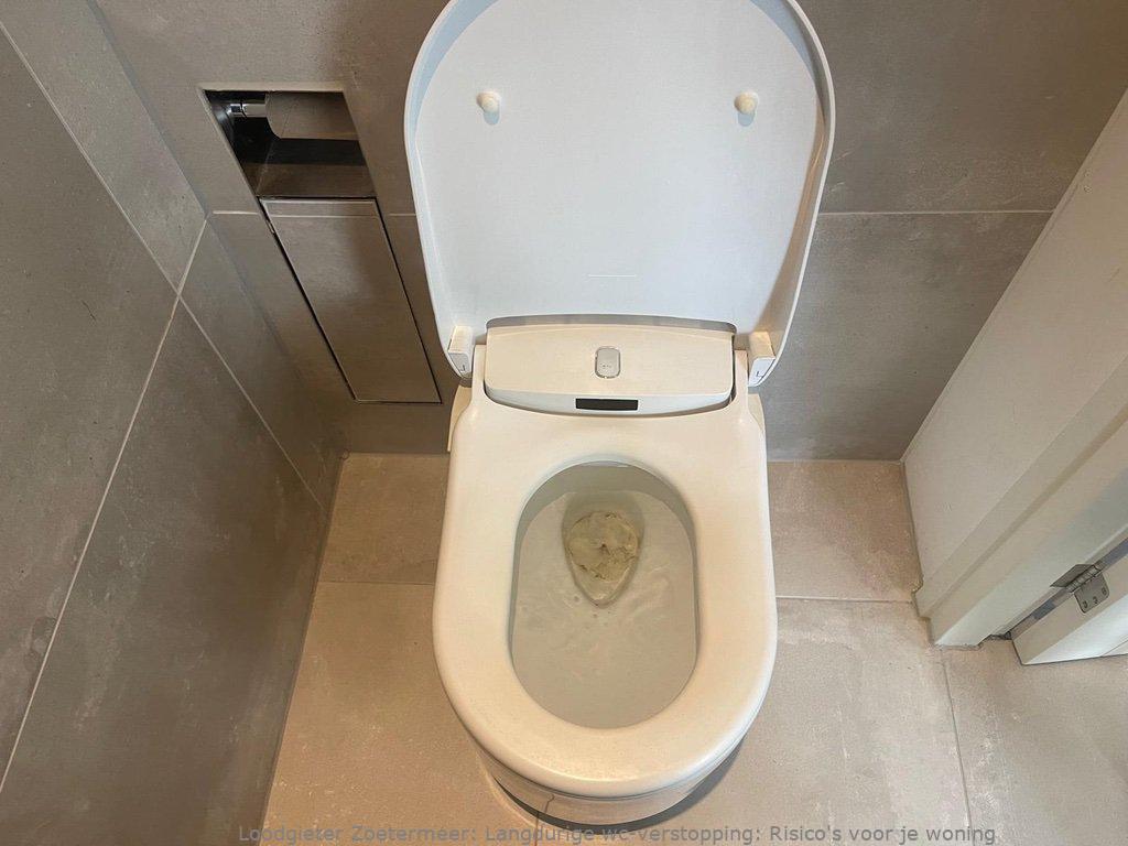 Toilet Verstopping Zoetermeer