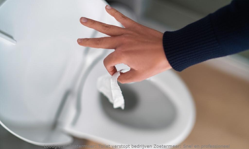 Toilet Verstopt Bedrijven Zoetermeer