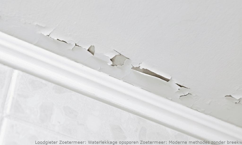 Waterlekkage Opsporen Zoetermeer